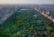 “Hiking at Central Park: Discovering the Natural Beauty of New York City”