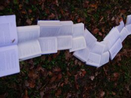 Photo by Laura Kapfer on Unsplash