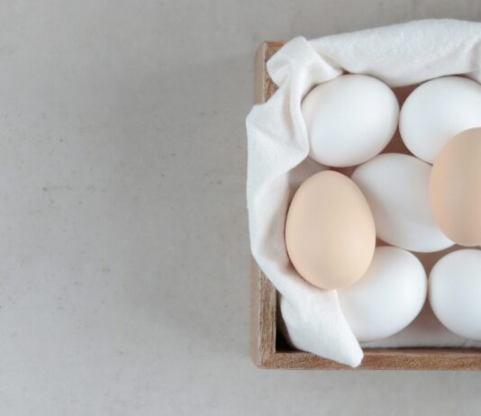 Photo by Olga Petnyunene on Unsplash