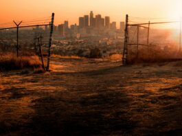 Photo by Daniel Lincoln on Unsplash