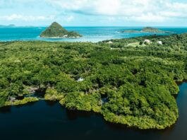 Photo by Hugh Whyte on Unsplash