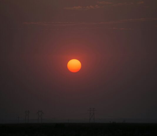 Photo by Ivan Calderon on Unsplash