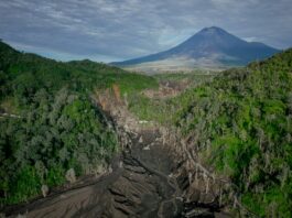 Photo by Masjid Pogung Dalangan on Unsplash