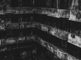 Photo by SALEM. on Unsplash