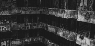 Photo by SALEM. on Unsplash