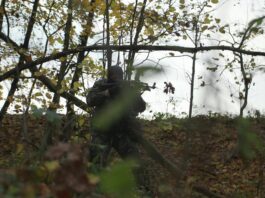 Photo by Tschernjawski Sergej on Unsplash