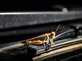 Photo by Zoshua Colah on Unsplash