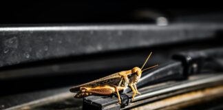 Photo by Zoshua Colah on Unsplash