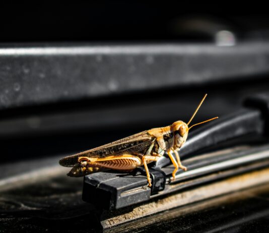 Photo by Zoshua Colah on Unsplash