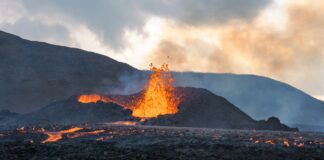 Photo by Collin Ross on Unsplash