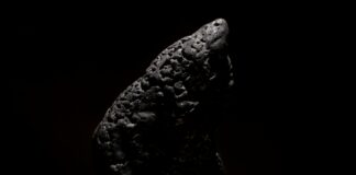 Photo by Ennis Price on Unsplash