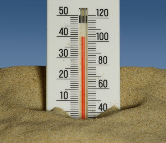 Photo by Immo Wegmann on Unsplash