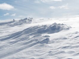 Photo by iuliu illes on Unsplash