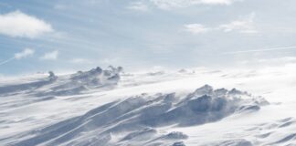 Photo by iuliu illes on Unsplash