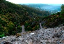 Photo by Mikhail Mamaev on Unsplash