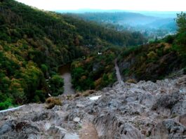 Photo by Mikhail Mamaev on Unsplash