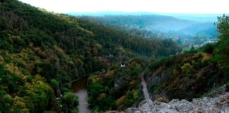 Photo by Mikhail Mamaev on Unsplash