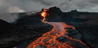 Photo by Tetiana GRY on Unsplash