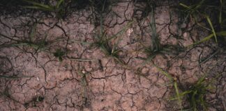 Photo by Valerie Sidorova on Unsplash