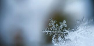 Photo by Aaron Burden on Unsplash