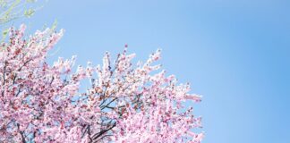 Photo by Jake Weirick on Unsplash
