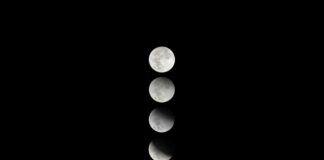 Photo by LARAM on Unsplash