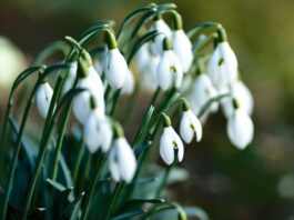 Photo by Pascal Debrunner on Unsplash