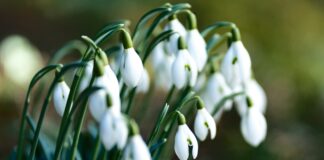 Photo by Pascal Debrunner on Unsplash