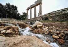Why You Should Study Catastrophes to Understand the Future