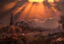 Why You Should Learn From Societies That Collapsed