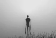 People Who Claim They Saw the Tall Creature With Long Hands