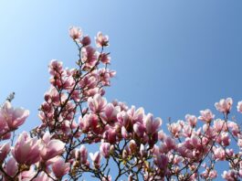 Photo by Matias Tapia on Unsplash