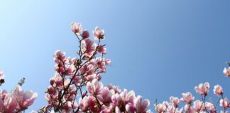 Photo by Matias Tapia on Unsplash